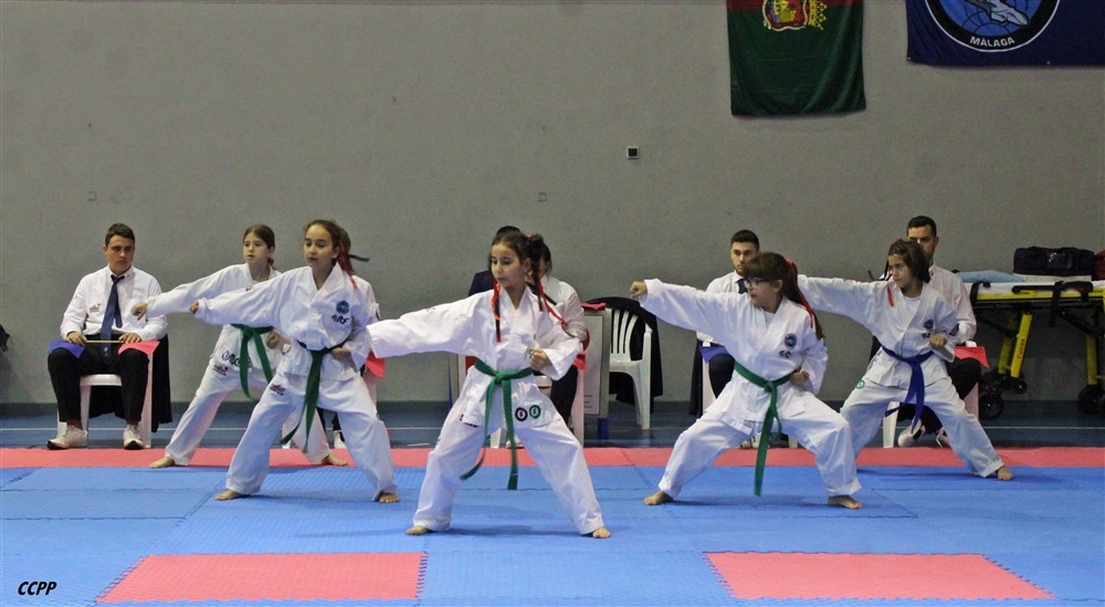 Copa Seul 2018 (272).jpg